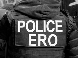 Inconsistent Enforcement of U.S. Immigration Laws: Assessing Policy Options for Cohesive Reform